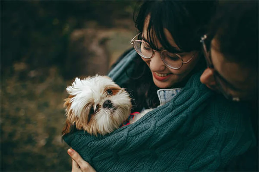 犬の下痢に効くPepto Bismolの正しい使い方【獣医師監修】